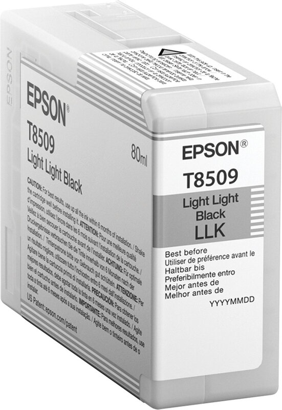 Epson enkelverpakking licht zwart T850900