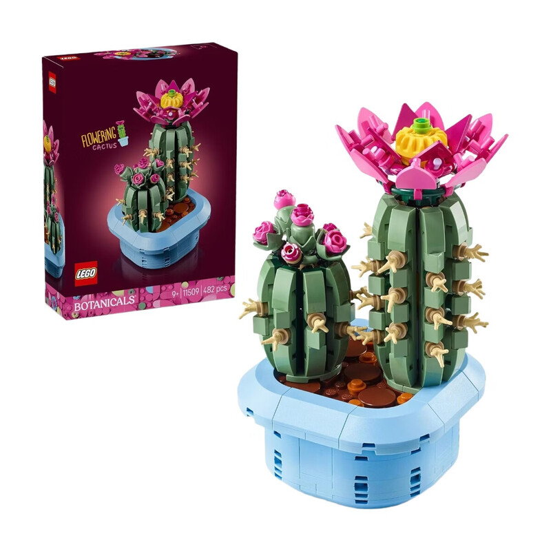 Botanicals 11509 Flowering Cactus Set