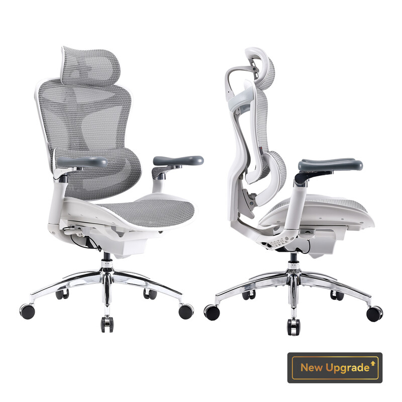 Sihoo Doro C300 Pro ergonomische bureaustoel met ultrazachte 6D-armleuningen, dynamische lendensteun, verstelbare zitdiepte en verstelbare rugleuning, voor thuiswerk (Wit)