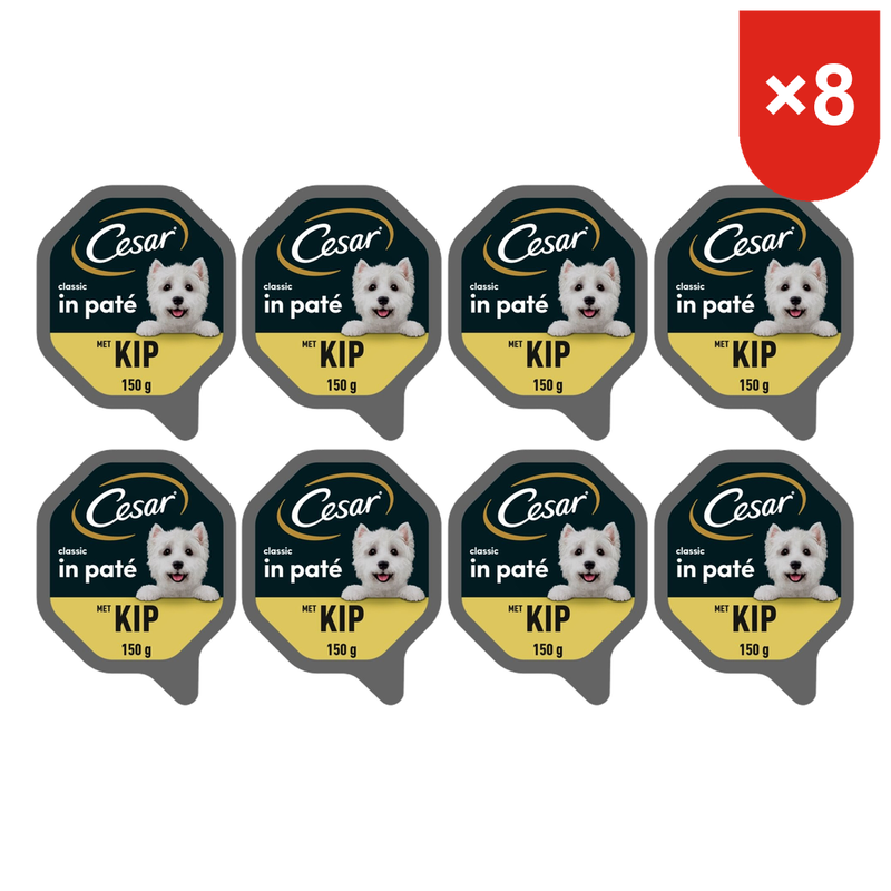Cesar Classic Nourriture humide pour chien Poulet 150 g * 8