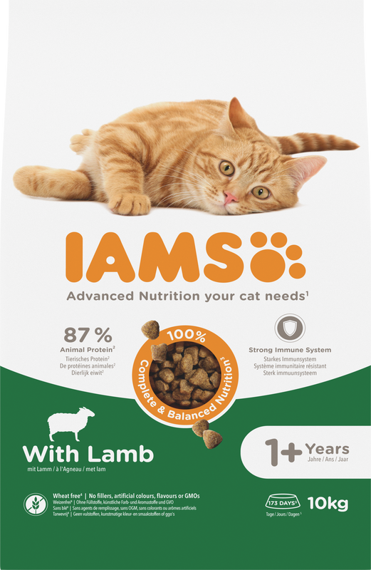 IAMS kattenvoer voor volwassen katten met lam 10 kg