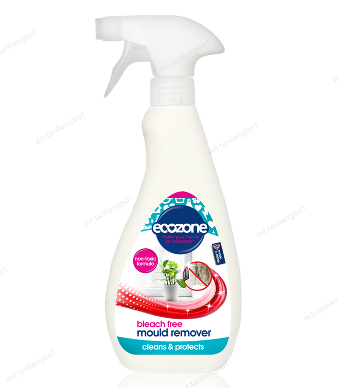 Mould Remover 500 ml