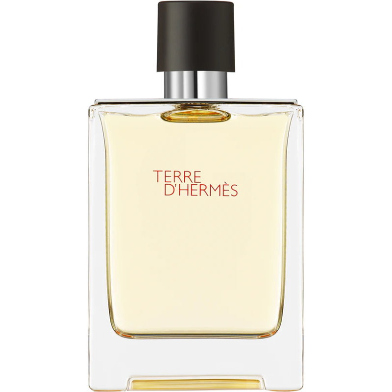 HERMÈS Terre d’Hermès Eau de Toilette pour homme 100ml