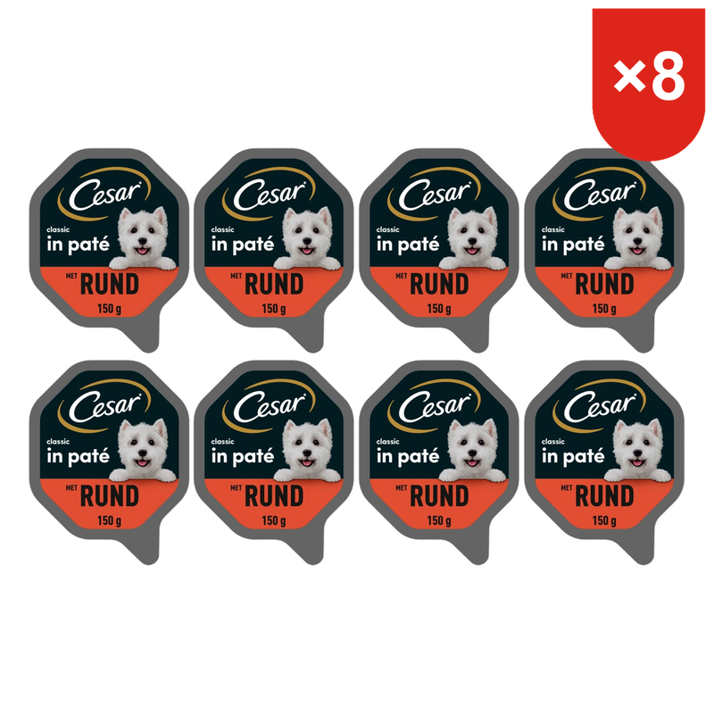 Cesar Alu Classic Nourriture humide pour chien Bœuf 150 g * 8