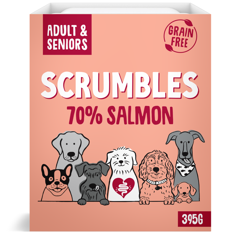 Wet Dog Food Salmon 395g
