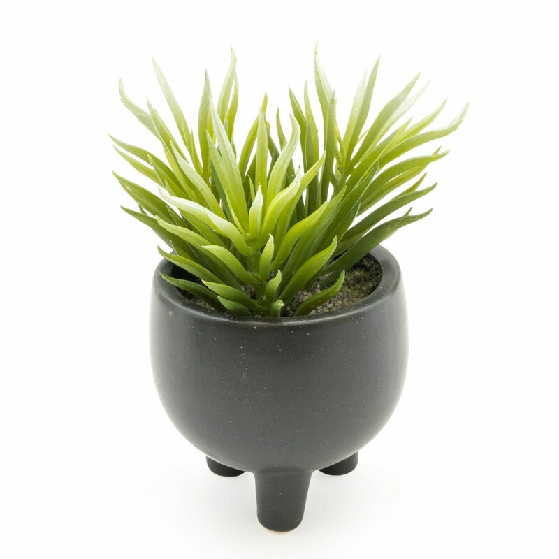 Candlelight Black/Light Candle Artificial Ice Plant Succulent In Ceramic Pot 15Cm