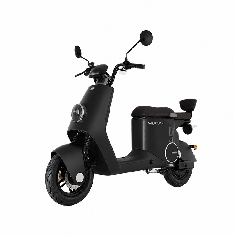Luyuan ZQQ2 Elektroroller für Erwachsene, 600 W Motor, 35 km/h, 52 km Reichweite, EU-typgeprüft L1e-B, 2-Sitzer straßenzugelassener Elektroroller – Nano Schwarz