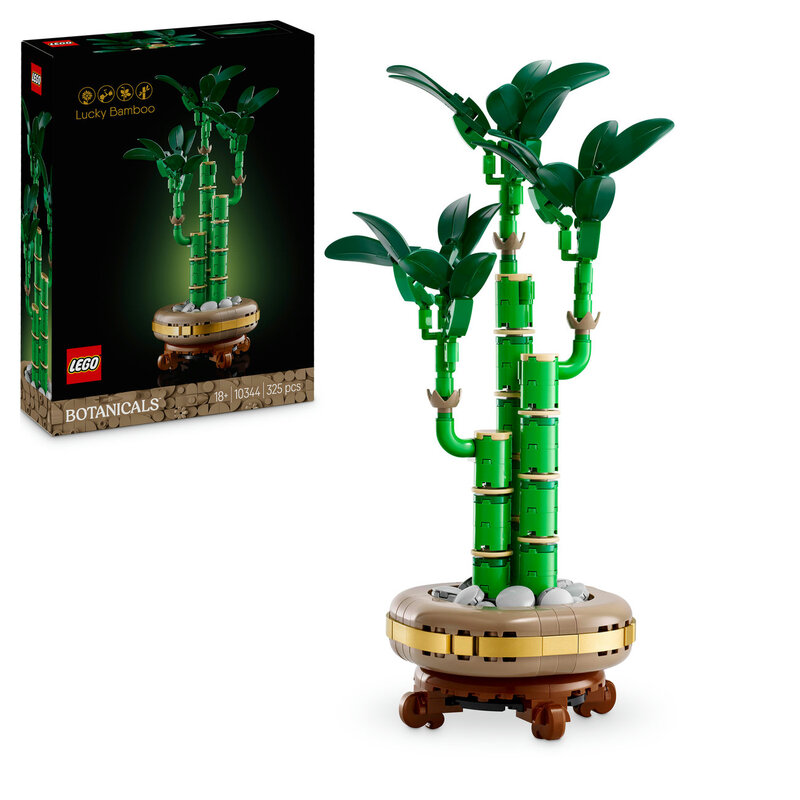 Botanicals 10344 Lucky Bamboo