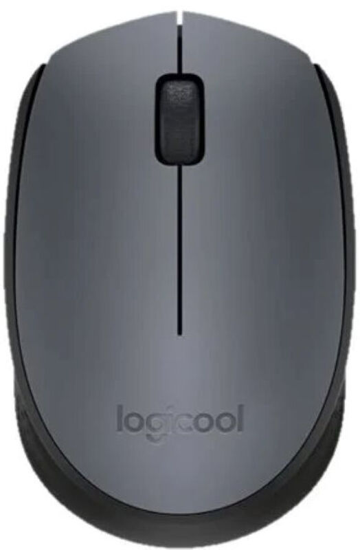 Souris Logitech M171 Noir 910-004424