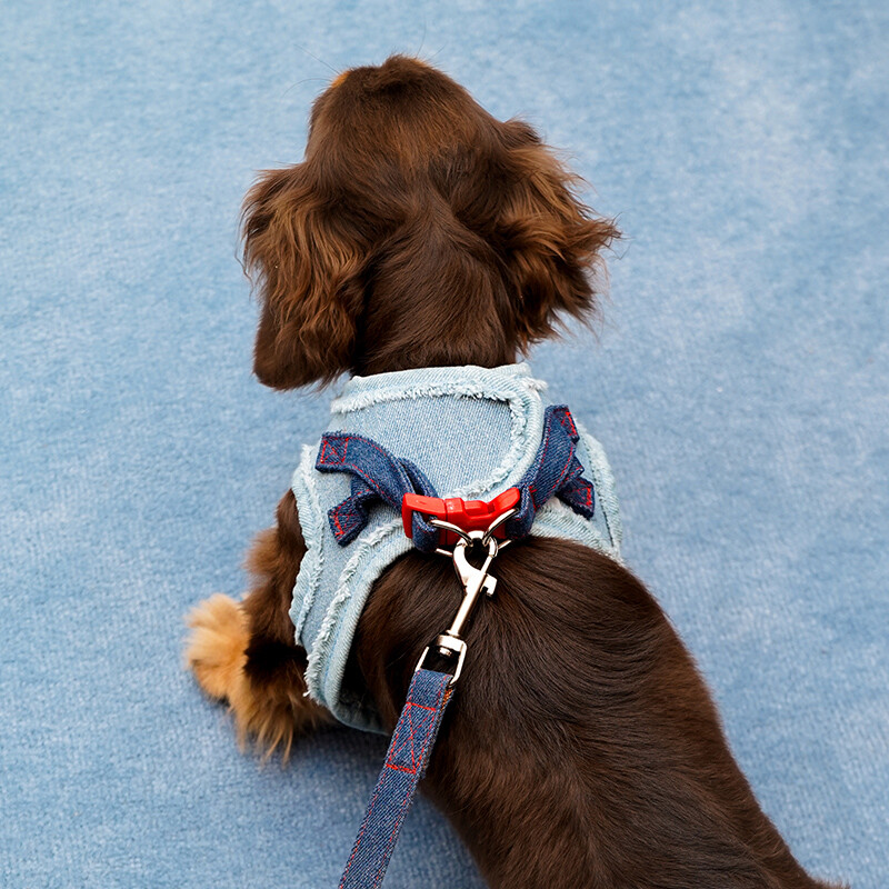 Denim Dog & Cat Harness Leash Set, Adjustable Leash, Size L, Suitable for 7–12.5 kg