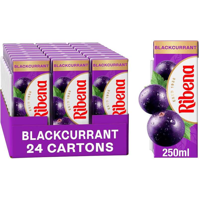 RIBENA BLACKCURRANT JUICE DRINK CARTON 250ML