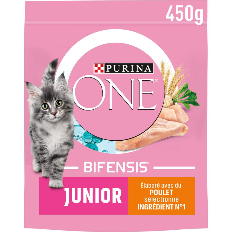 Croquettes Pour Chat Junior Purina One MO5000161019656 – Saveur Poulet et Céréales 450 g - vue 2