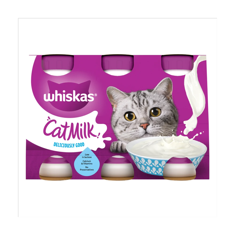 Kitten Cat Milk Bottle 3 x 200ml