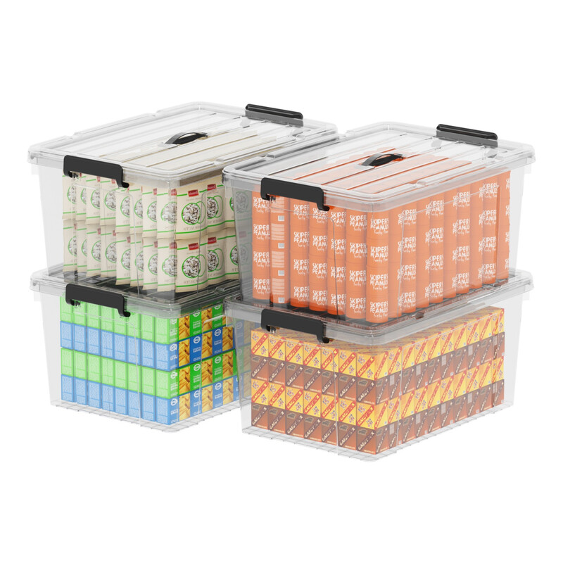 SPACEXPERT Haushaltswaren Aufbewahrungsboxen: Tragbare transparente Kunststoff-Organizer mit Deckeln, Griff und Clips, 70Lx4