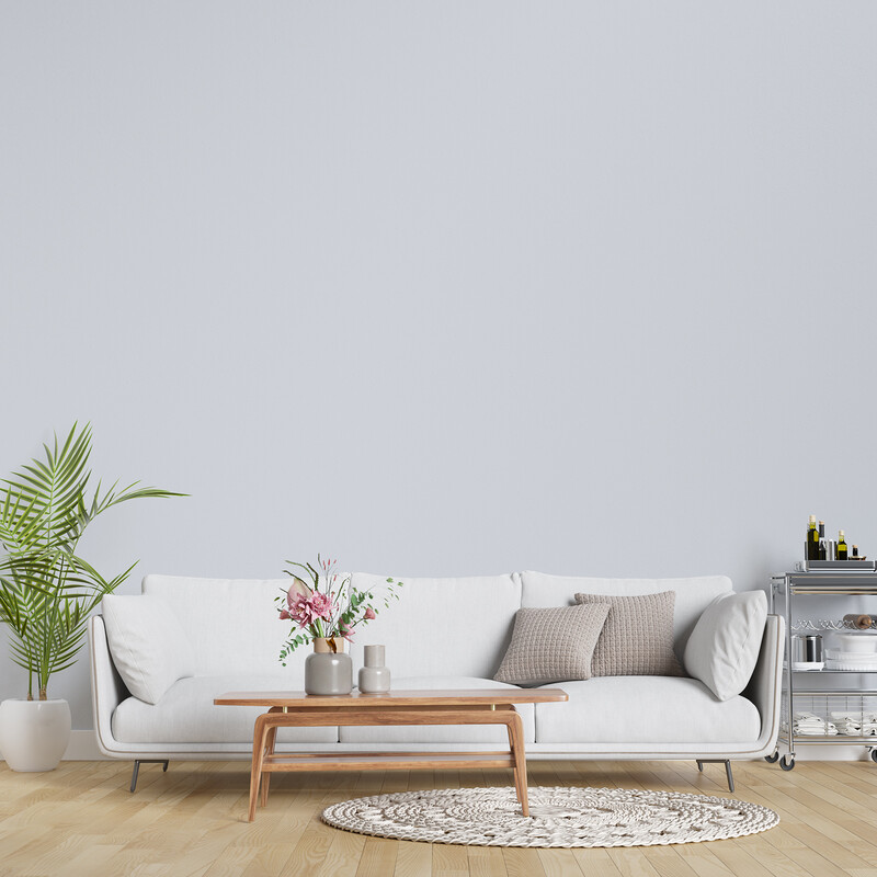 F03 Silver Coin Light Gray Peel and Stick Wallpaper 60x305cm 1 Roll