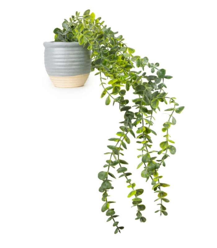 Candlelight Grey/Light Candle Artificial Trailing Succulent In Ceramic Pot 50Cm Length