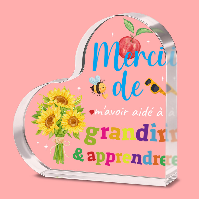 Alphynix Plaque cadeau de remerciements pour professeur en acrylique