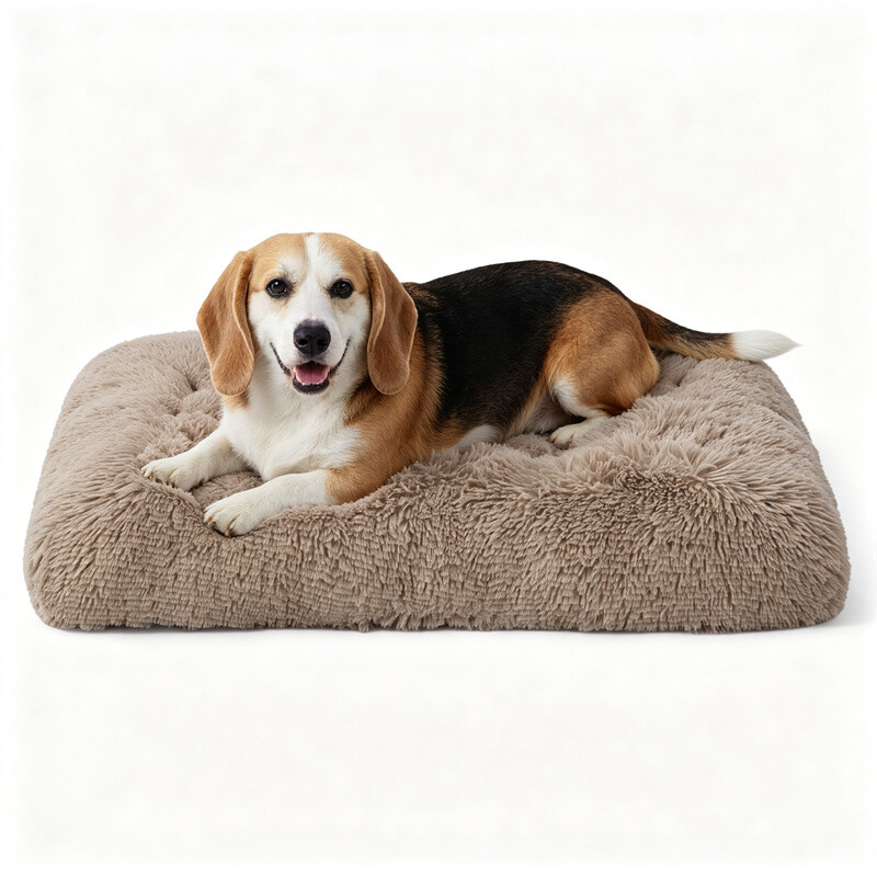 Bedsure Hundebett Plüsch für mittelgroße Hunde, 74x53x8 cm, kuscheliges Hundebett Camel für beste Freunde