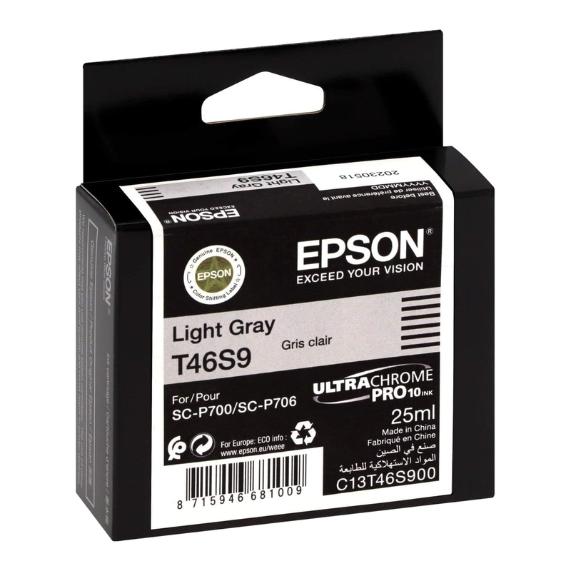 Epson UltraChrome Pro inktcartridge 1 stuk origineel lichtgrijs