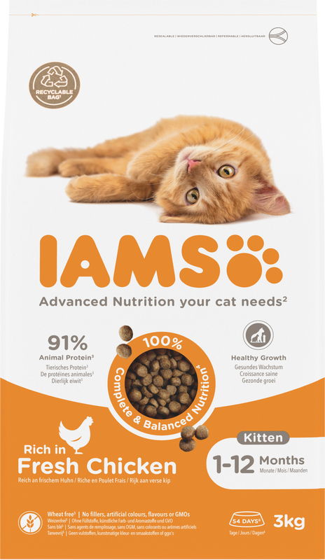 IAMS Kitten/Junior kip 3 kg