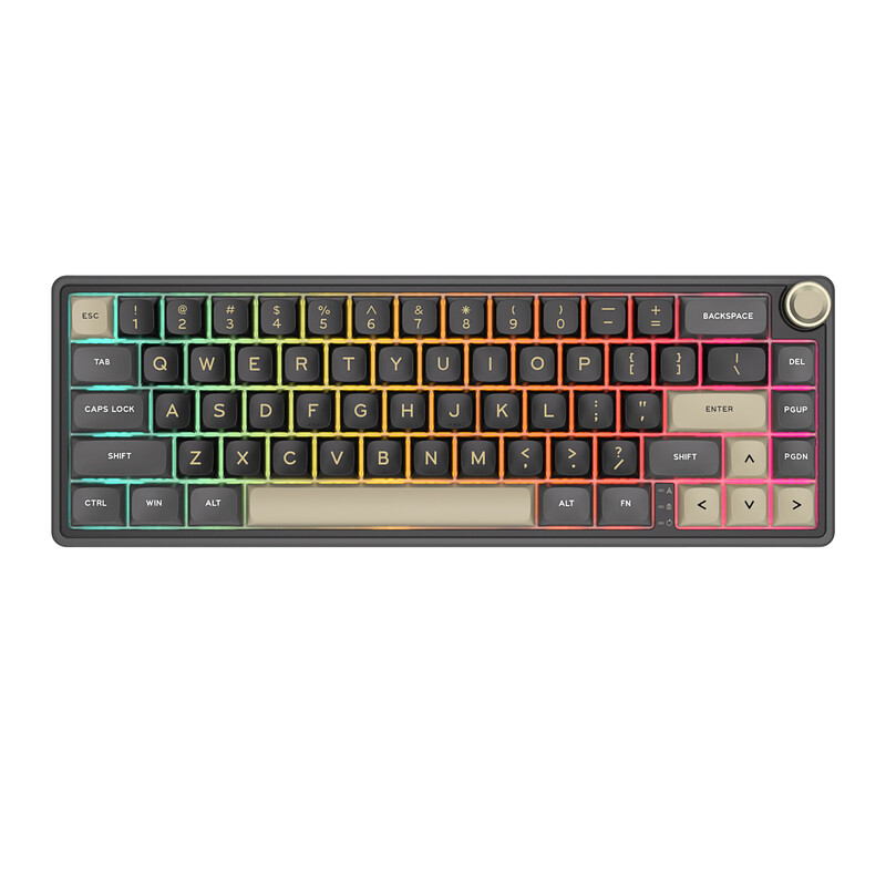 RK ROYAL KLUDGE R65 bedraad gamingtoetsenbord met volumeknop, 60% mechanisch toetsenbord met RGB-achtergrondverlichting en pakkingmontage met PBT-toetsdoppen, MDA-profiel, QMK/VIA, 66 toetsen, tijdens gebruik verwisselbare geelgroene schakelaars, Phantom
