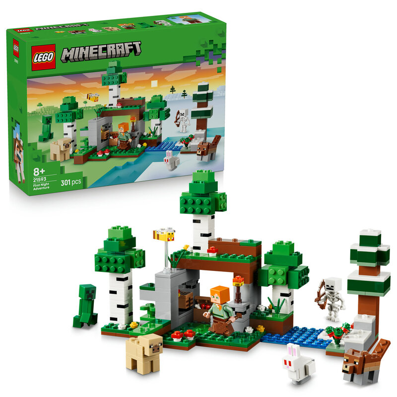 Lego Boys Light/Coal Minecraft 21593 First Night Adventure