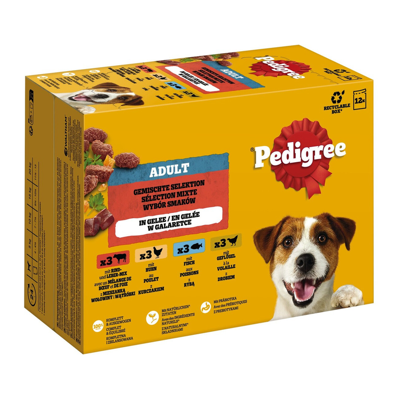 Pedigree Multipack Adult in Gelee gemischte Auswahl