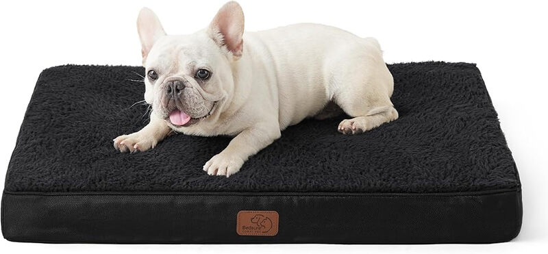 [Nur 9,99 €] BEDSURE Orthopädisches Hundebett für kleine Hunde – 75 x 50 x 7,6 cm, Hundekissen, flauschige Hundematte, waschbare Hundematratze in Schwarz, für kleine Hunde