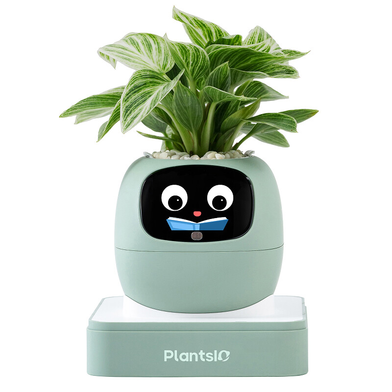 Zomercadeau om je interieur op te fleuren – Ivy AI slimme plantenpotrobot met interactieve gezichtsuitdrukkingen, intelligente plantverzorging, woondecoratie voor drukke mensen, toont de emoties van de plant (muntgroen)