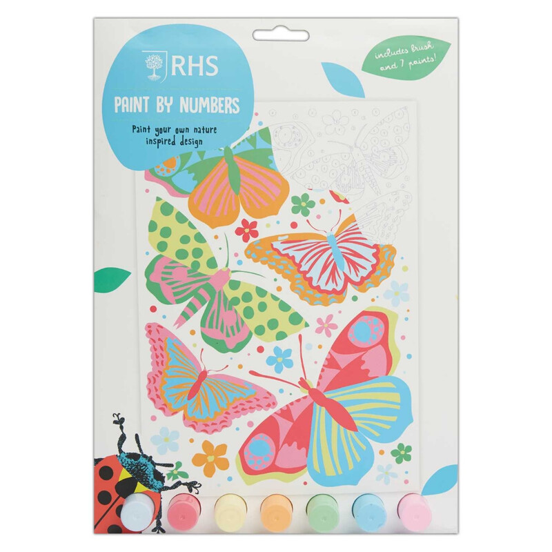 Butterflies Paint By Numbers Kit