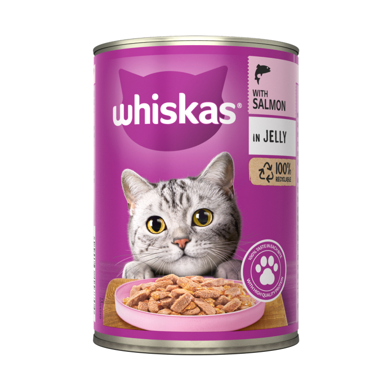 Adult Wet Cat Food Salmon in Jelly Tin 400g